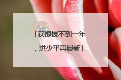 获提拔不到一年，洪少平再履新