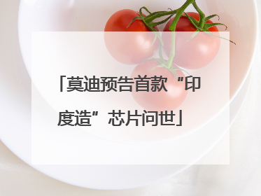莫迪预告首款“印度造”芯片问世