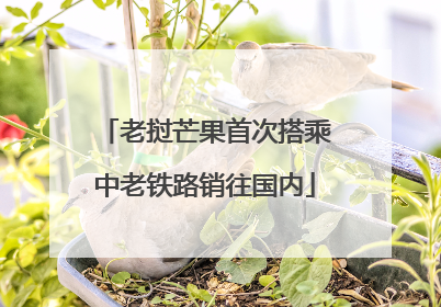 老挝芒果首次搭乘中老铁路销往国内