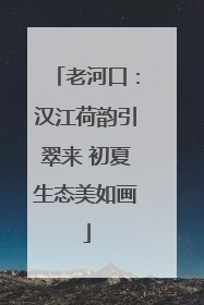 老河口：汉江荷韵引翠来 初夏生态美如画