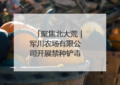 聚焦北大荒｜军川农场有限公司开展禁种铲毒排查宣传行动