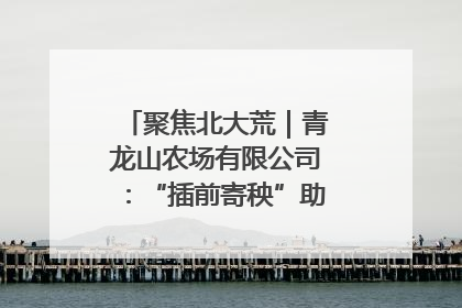 聚焦北大荒｜青龙山农场有限公司：“插前寄秧”助力农业节本增效