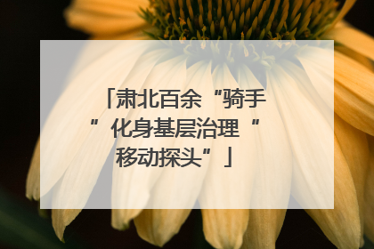 肃北百余“骑手”化身基层治理“移动探头”