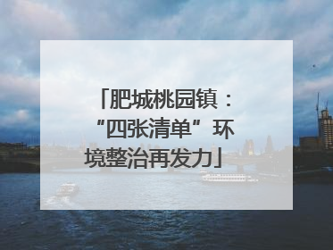 肥城桃园镇：“四张清单”环境整治再发力