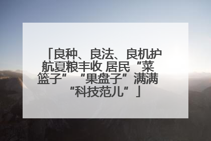 良种、良法、良机护航夏粮丰收 居民“菜篮子”“果盘子”满满“科技范儿”