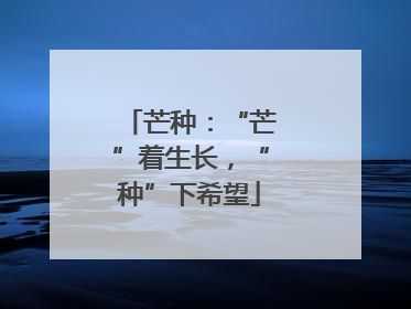 芒种：“芒”着生长，“种”下希望