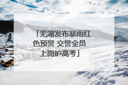 芜湖发布暴雨红色预警 交警全员上岗护高考