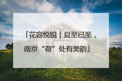 花容悦貌｜夏至已至，南京“荷”处有美韵