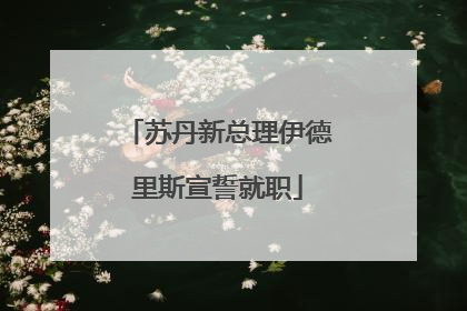 苏丹新总理伊德里斯宣誓就职