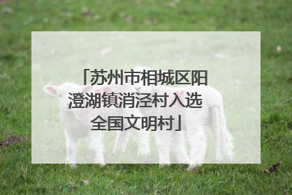 苏州市相城区阳澄湖镇消泾村入选全国文明村