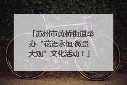 苏州市黄桥街道举办“花语永恒·微景大观”文化活动！