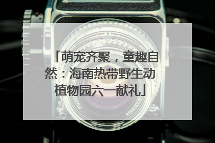 萌宠齐聚，童趣自然：海南热带野生动植物园六一献礼