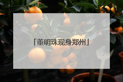 董明珠现身郑州