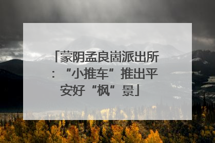 蒙阴孟良崮派出所：“小推车”推出平安好“枫”景