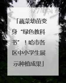 蔬菜幼苗变身“绿色教科书”！哈市各区中小学生展示种植成果