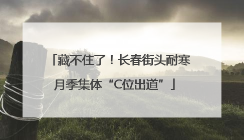 藏不住了！长春街头耐寒月季集体“C位出道”