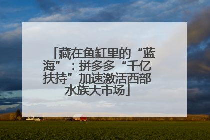 藏在鱼缸里的“蓝海”：拼多多“千亿扶持”加速激活西部水族大市场