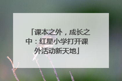 课本之外，成长之中：红星小学打开课外活动新天地