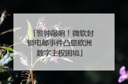 警钟敲响！微软封锁电邮事件凸显欧洲数字主权困境