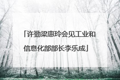 许勤梁惠玲会见工业和信息化部部长李乐成
