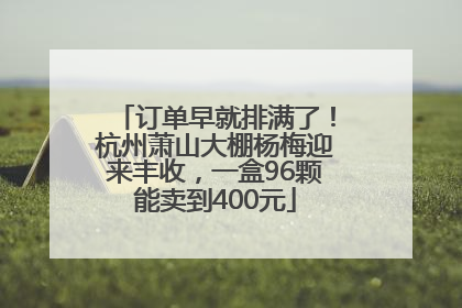 订单早就排满了！杭州萧山大棚杨梅迎来丰收，一盒96颗能卖到400元
