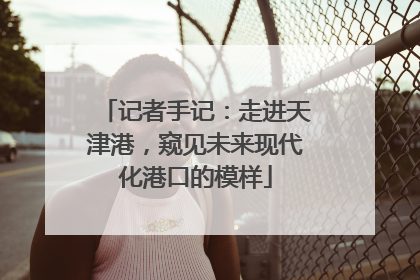 记者手记：走进天津港，窥见未来现代化港口的模样