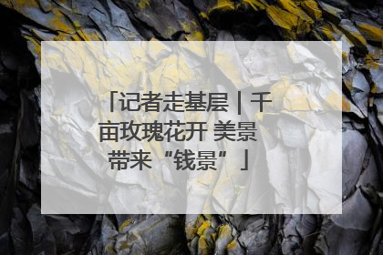 记者走基层｜千亩玫瑰花开 美景带来“钱景”