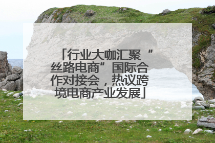 行业大咖汇聚“丝路电商”国际合作对接会，热议跨境电商产业发展