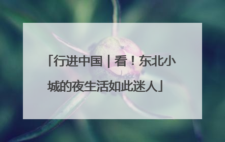 行进中国｜看！东北小城的夜生活如此迷人