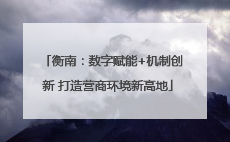 衡南：数字赋能+机制创新 打造营商环境新高地