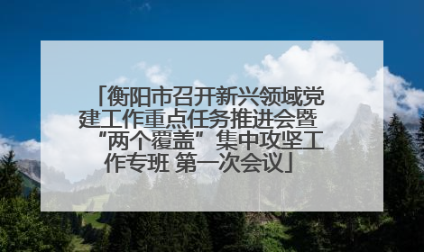 衡阳市召开新兴领域党建工作重点任务推进会暨“两个覆盖”集中攻坚工作专班 第一次会议