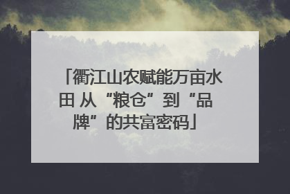 衢江山农赋能万亩水田 从“粮仓”到“品牌”的共富密码