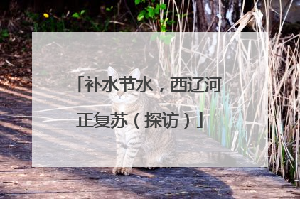 补水节水，西辽河正复苏（探访）