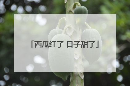 西瓜红了 日子甜了