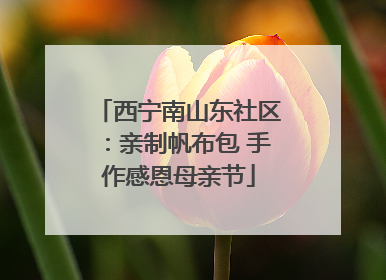 西宁南山东社区：亲制帆布包 手作感恩母亲节