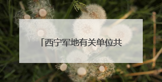 西宁军地有关单位共同走进小学开展未成年人暨军娃保护活动