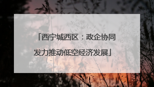 西宁城西区：政企协同发力推动低空经济发展