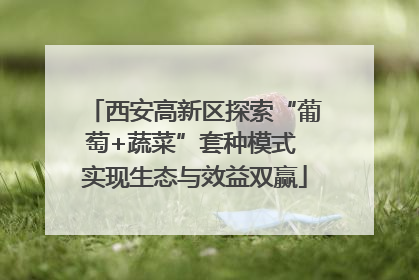 西安高新区探索“葡萄+蔬菜”套种模式 实现生态与效益双赢