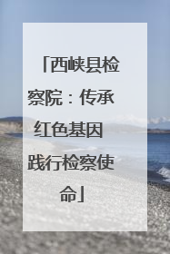 西峡县检察院：传承红色基因 践行检察使命
