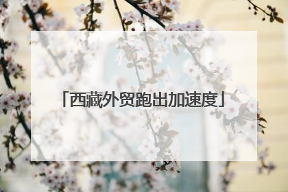 西藏外贸跑出加速度