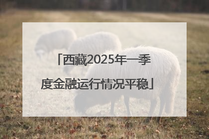 西藏2025年一季度金融运行情况平稳