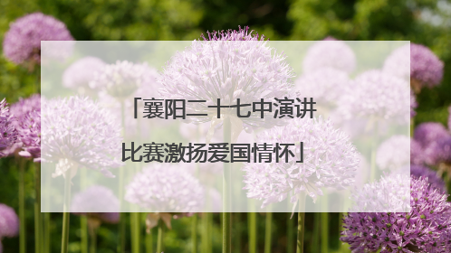 襄阳二十七中演讲比赛激扬爱国情怀