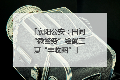 襄阳公安：田间“微警务”绘就三夏“丰收图”