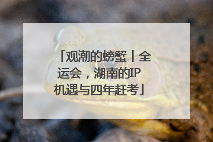 观潮的螃蟹丨全运会，湖南的IP机遇与四年赶考