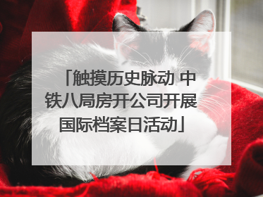 触摸历史脉动 中铁八局房开公司开展国际档案日活动