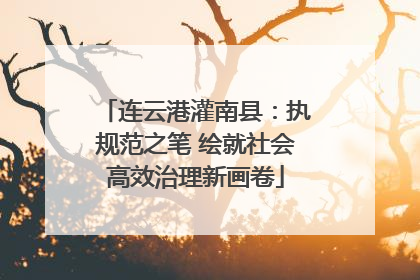连云港灌南县：执规范之笔 绘就社会高效治理新画卷