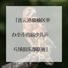 连云港赣榆区举办全市首届少儿乒乓球俱乐部联赛