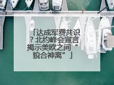 达成军费共识？北约峰会宣言揭示美欧之间“貌合神离”