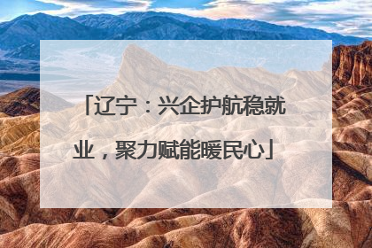 辽宁：兴企护航稳就业，聚力赋能暖民心