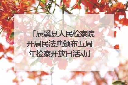 辰溪县人民检察院开展民法典颁布五周年检察开放日活动